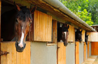 free Combe Pafford stable construction quotes